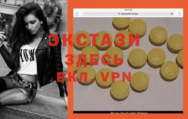 прущие грибы Верея