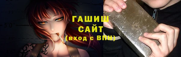 прущие грибы Верея