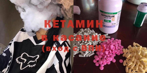прущие грибы Верея
