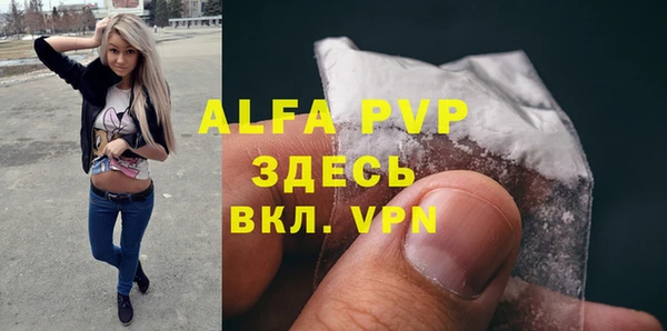 прущие грибы Верея